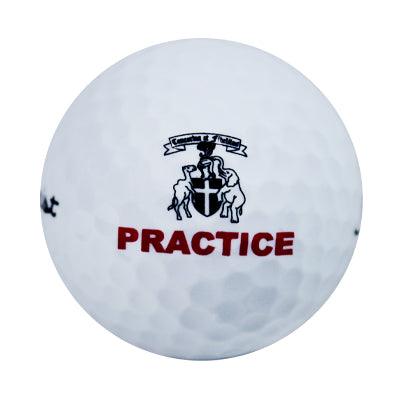 Titleist NXT Tour Inverness Logo Overrun Pristine Golf Balls - 1 dozen